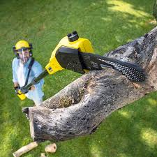 Best Lawn Maintenance Plans  in Pataskala, OH